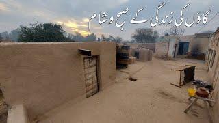 Gaon ke Zindagi kay Subah-O-Sham | Cooking Traditional Breakfast | Village Life | Shoaib Maharzada