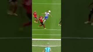 MARCO RICHTER GOAL!  #goals #youtubeshorts #shorts #premierleague #messi #cr7 #neymar