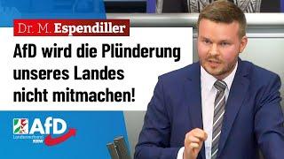 AfD wird die Plünderung unseres Landes nicht mitmachen! – Dr. Michael Espendiller (AfD)