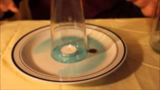 Children's Science Experiment Bible Lesson on Growing Closer to God