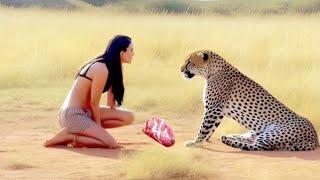 Animals That Asked People for Help and Kindness Caught on Camera