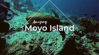 BEST Kept SECRET in Indonesia - Exploring Moyo Island