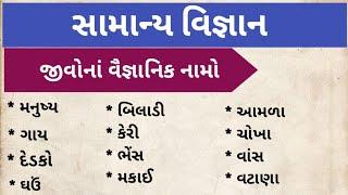 સામાન્ય વિજ્ઞાન || જીવોના વૈજ્ઞાનિક નામો || samanya vigyan|| general knowledge