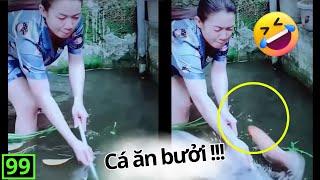 The Funniest Videos Laugh Out Loud ( P99 ) | Comedy 5 Minutes