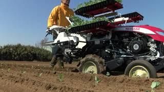 PW10 - Automatic Vegetable Trans-planter