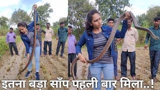 यह साँप तो निर्जरासेभी दुगना लंबा निकला.. Nearly 11 ft big rat snake rescued by Nirzara