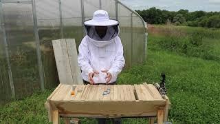 Introduction to Top Bar Bee Hives