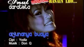 Arjunanya Buaya - Inul Daratista karaoke