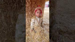 Straw bale maze hide and seek 