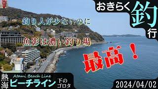 【#熱海・#ビーチライン下】#おきらく釣行【2024/04/02】