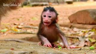 Ellsa's Newborn: The Cutest Smiles You’ll Ever See| Monkey Cambodia Daily