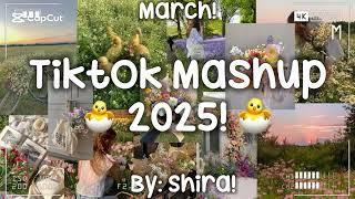 Tiktok Mashup 2025! 