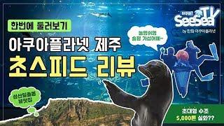 제주 힐링여행의 꽃! 아쿠아플라넷제주초스피드 리뷰핵넓음!!