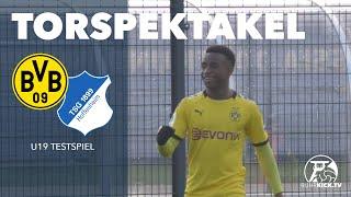 Moukoko mit Doppelpack | Borussia Dortmund U19 - TSG 1899 Hoffenheim U19 (Testspiel)