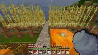 Let´s Show Minecraft (1). Testversion feat. More