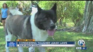 Considering tougher leash laws