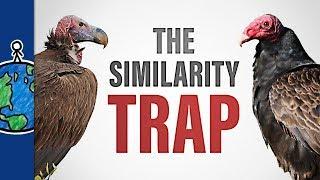 The Similarity Trap