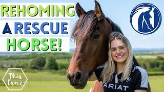 Rehoming a Rescue Horse! World Horse Welfare | AD This Esme