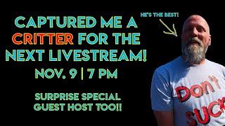 Nov. Livestream | Critter Moto!