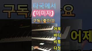 타국에서 ㅡ 이미자 #음악 종착역(전자올겐 연주)