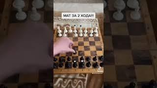 МАТ В 2 ХОДА! #Шахматы #шахматы #chess