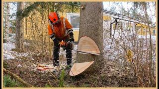 Would You Dare to Finish This Very Challenging Backyard Tree Removal Job?