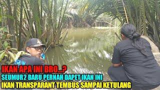 Cilacap...!!! Baru Pernah Mancing Dapat Ikan Transparant Sampai Ketulang ft @GondrongLabanan