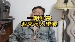 集体涨停后，对于地产股，你还纠结它是反弹，还是反转吗？