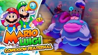 Nuevos Islotes - 67 - Mario y Luigi: Conexión Fraternal en Español - DSimphony