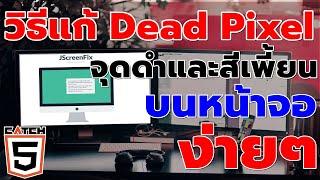 วิธีแก้ Dead Pixel จุดดำและสีเพี้ยนบนหน้าจอเบื้องต้นง่ายๆ #catch5 #windows11 #windows10