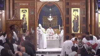 Sunday Liturgy - 3 Nov 2024