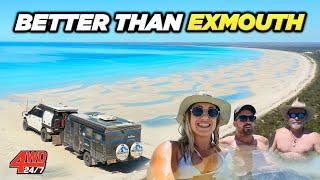 Australia's BEST BEACH CAMPING! No crowds and 4WD Only + Kangaroo Island Marron Catch & Cook