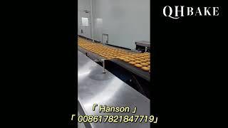 QHbake Cookie production line, Cookie machine line, Baking tunnel oven, Biscuit making machine