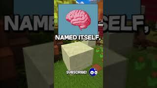 Shower Thoughts... #1