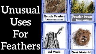 Four Unusual uses for Feathers - Feather Function #2