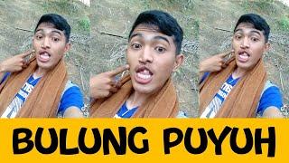 BULUNG PUYUH - KANG SELEBEW