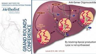 Lipoprotein(a) in Coronary Disease: An Emerging Novel Target (Steven E Nissen, MD) February 14, 2019