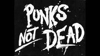 40 Genres Of Punk