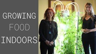 Aeroponic Tower Garden – Indoor growing made easy