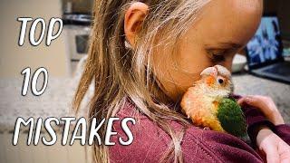 TOP 10 MISTAKES WITH CONURES! (Feat. CGTeen!)