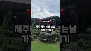 제주에서 손가락에 꼽는 운치있는 카페  바로 여기우다여기 ‍️제주 곶자왈을 품은 고즈넉한 한옥카페 #제주맛집   #도민맛집  #제주카페 #제주한옥카페  #제주전통카페 #제주야원