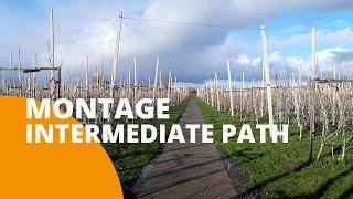 Intermediate Path Solution- FRUITSECURITY HOLLAND