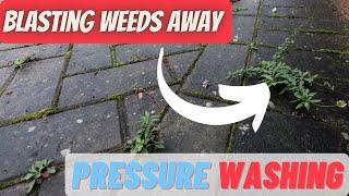 Blasting Weeds Away | DEEP Cleaning a DIRTY Driveway, Pressure Washing