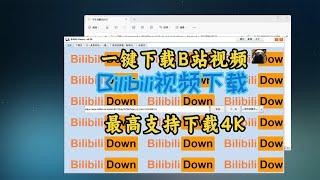 B站视频下载神器，一键批量下载视频和弹幕，清晰度最高支持4K！
