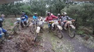 Enduro: Forest Run