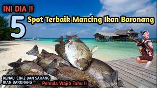 5 Best Baronang Fishing Spots || Get to know Baronang Spots and Nests So You Can Get Lots of Fishing