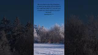 Bible verse#fearnot#nofear#meaningfulquotes #bibleverseoftheday #snow#trees#beautiful #nature#god