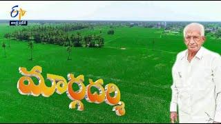 Nekkanti Subba Rao | Margadarshi | 15th January 2023 | Full Episode | ETV Andhra Pradesh