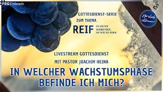 Predigt «In welcher Wachstumsphase befinde ich mich?» mit Pastor Joachim Heina