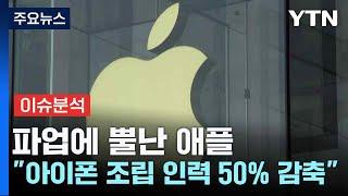 [스타트경제] 파업에 뿔난 애플..."아이폰 조립 인력 50% 감축" / YTN